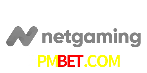 NetGaming